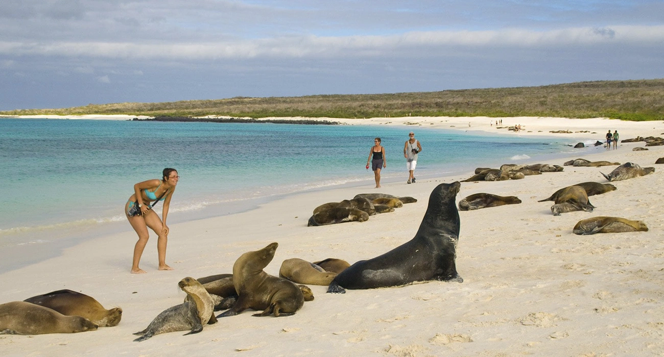 Slider 1300x700_0000_galapagos
