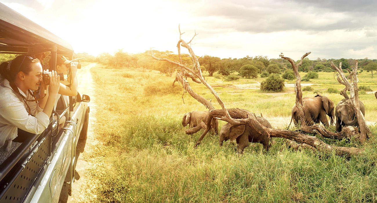 Slider 1300x700_0002_africa